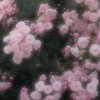 恋愛相談＆雑談（悩み（恋愛