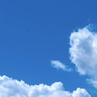 大人の雑談とまどうペリカン