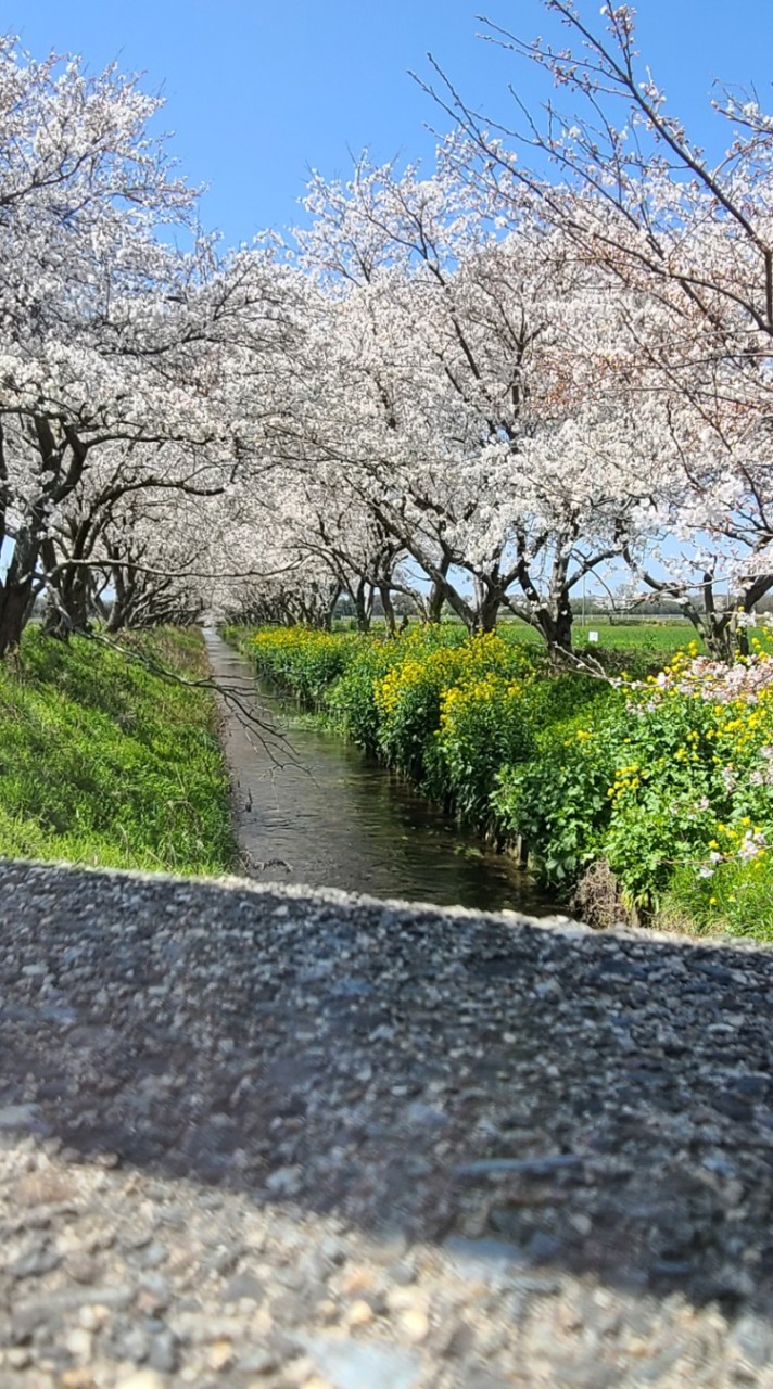 空想鉄道民などの雑談所