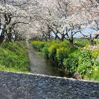 空想鉄道民などの雑談所
