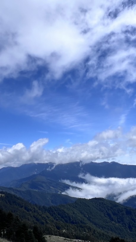 快樂家族影片