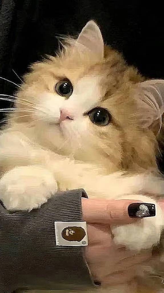 →👣萌和致遠🫧←