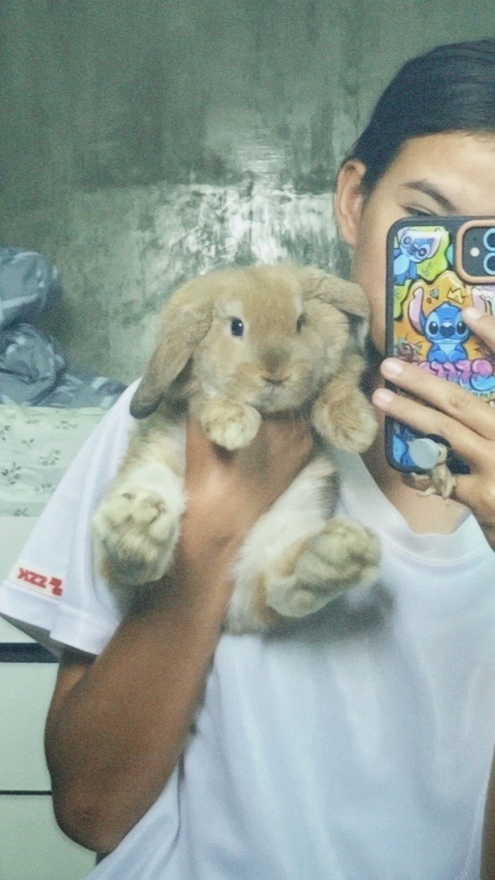 คนเลี้ยงกระต่ายชัยภูมิ