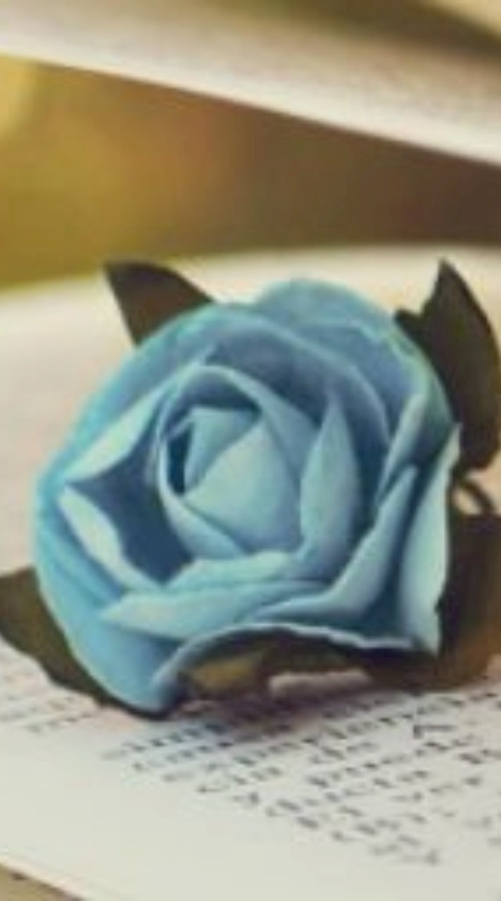 PocketStyler💎Fashionista