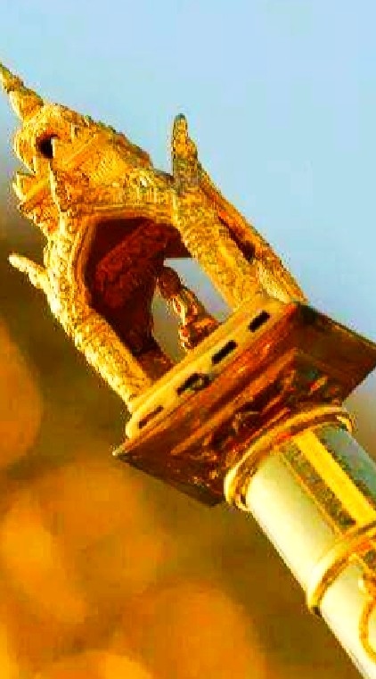 กล้าพันธุ์ดี น่าน