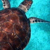 AQUARIUM OPEN MIC