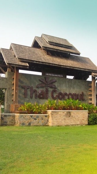 Thai coconut