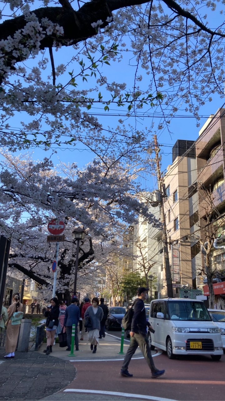 5月京都副本之旅
