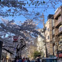 5月京都副本之旅