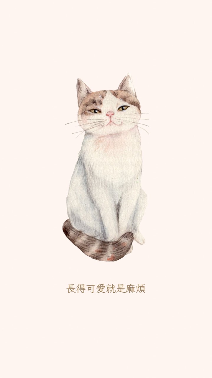SIS KOREA 韓國代購小天地