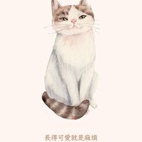 SIS KOREA 韓國代購小天地