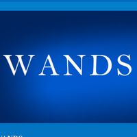 WANDS 好きな人