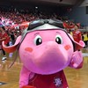 千葉ジェッツふなばし 観戦の楽しみ