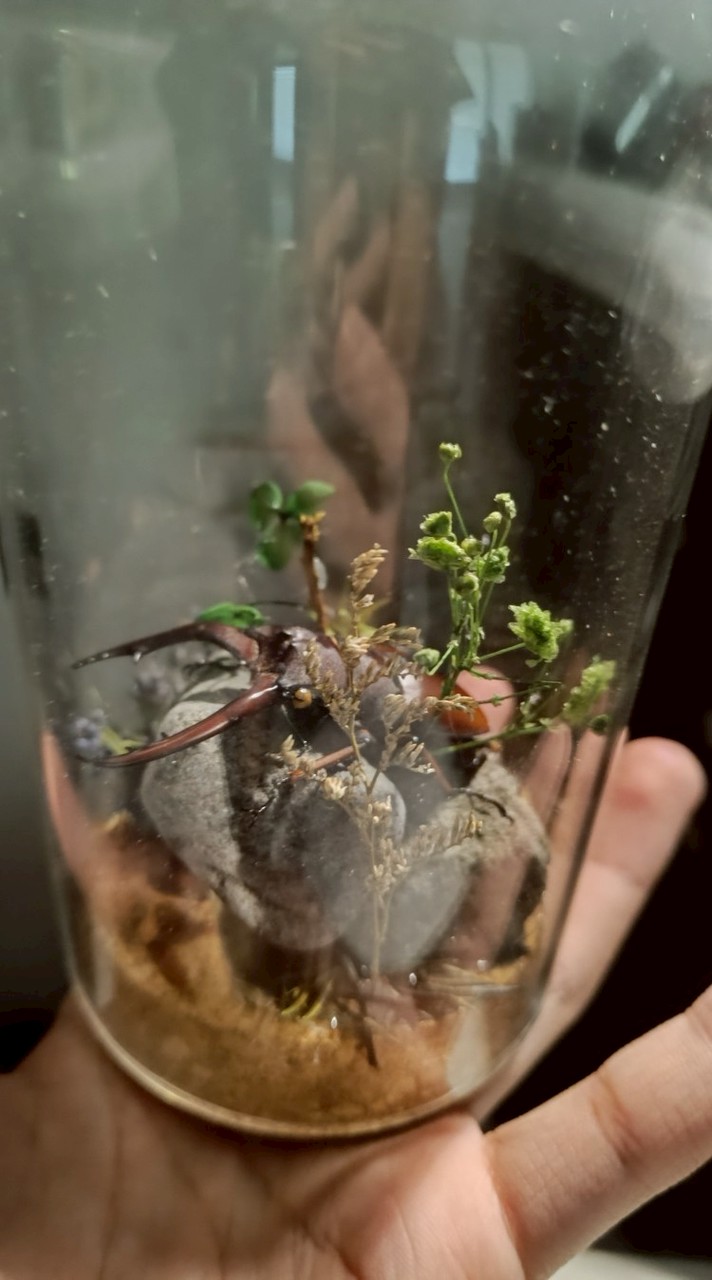 難言美爬蟲