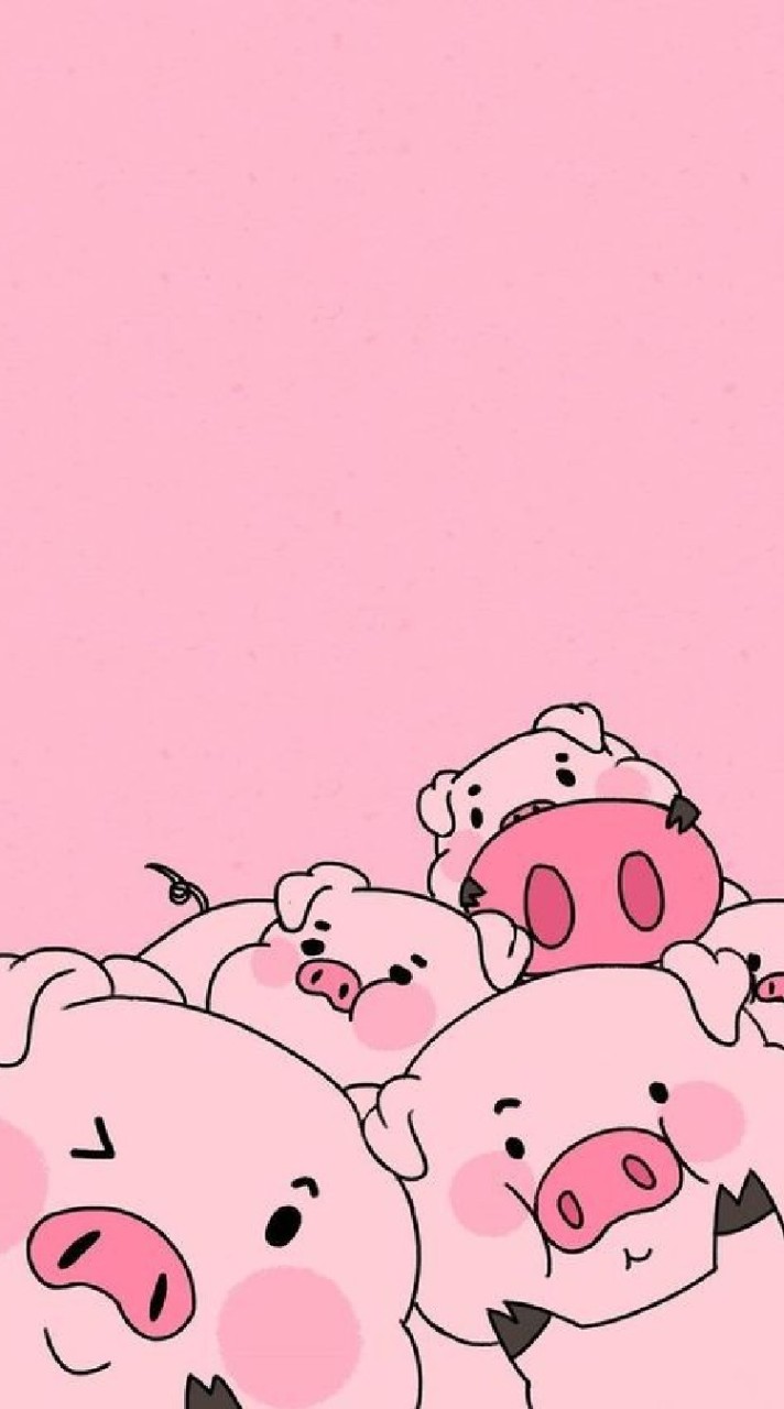 พัฒนาหมู🐷🐽
