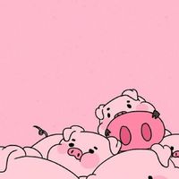 พัฒนาหมู🐷🐽