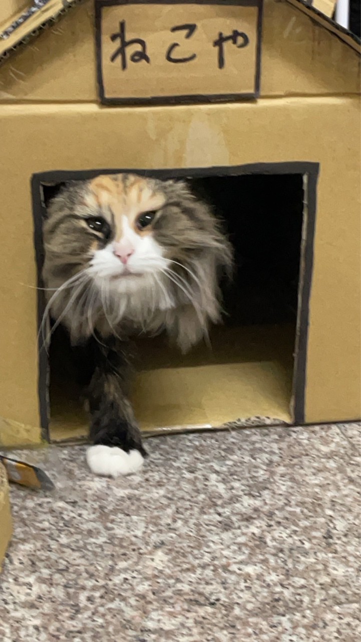 0223-0227🇯🇵大阪小代購