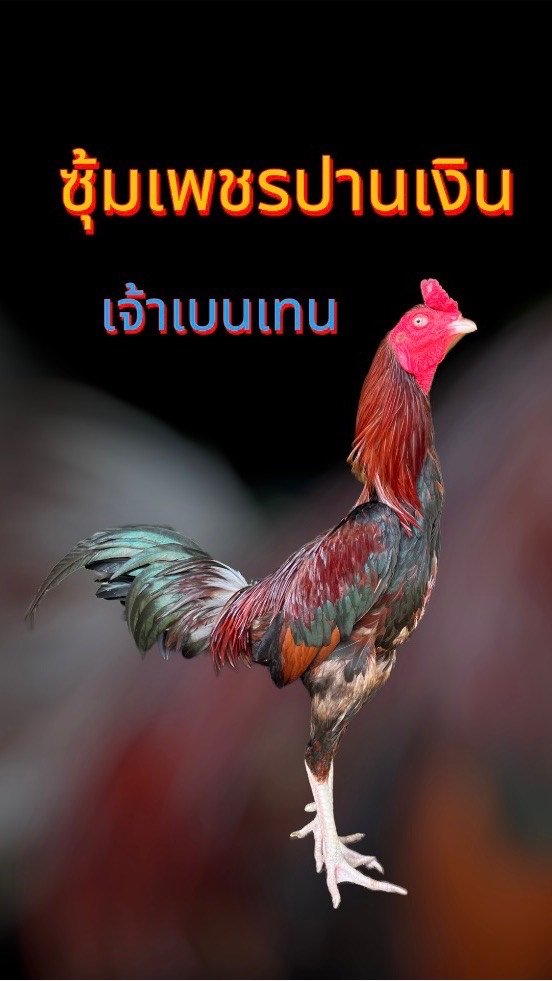 ซุ้ม เพชรปานเงิน