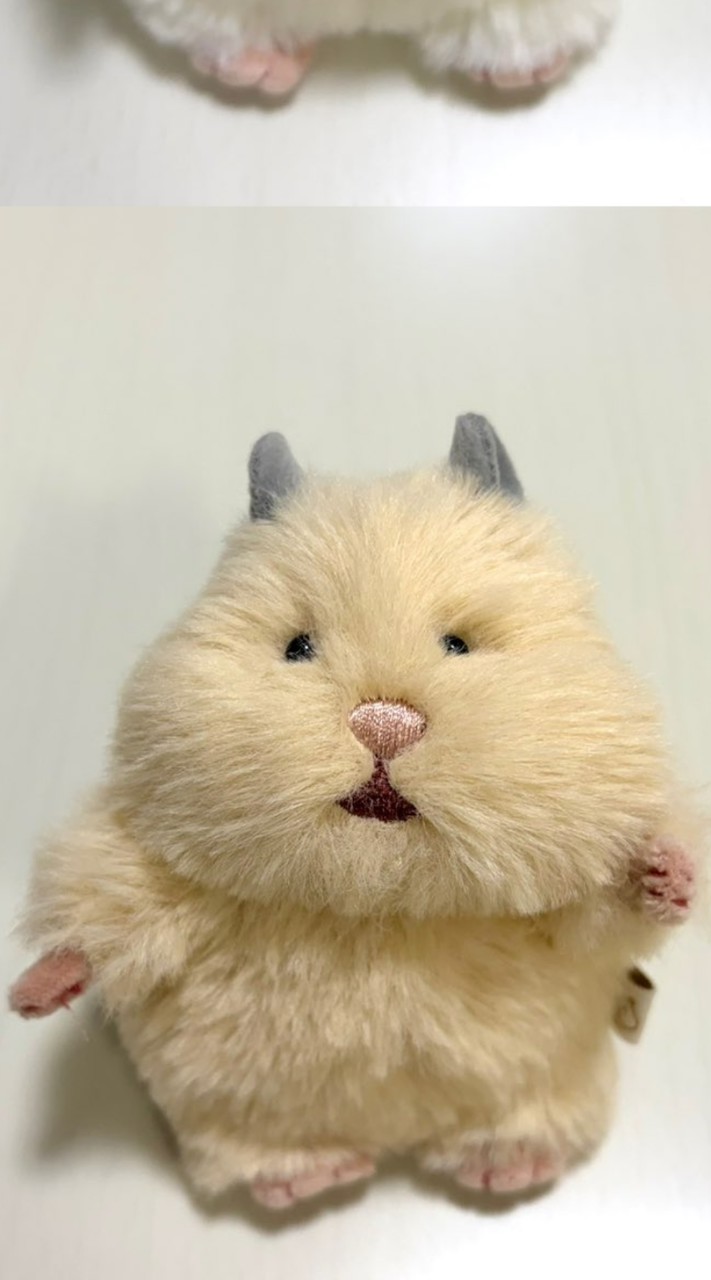 ハムスター🐹つむぎちゃんの会⭐