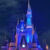 ゆるっとディズニー同行募集