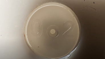 意想不到的微距鏡頭，拉遠就會恍然大悟