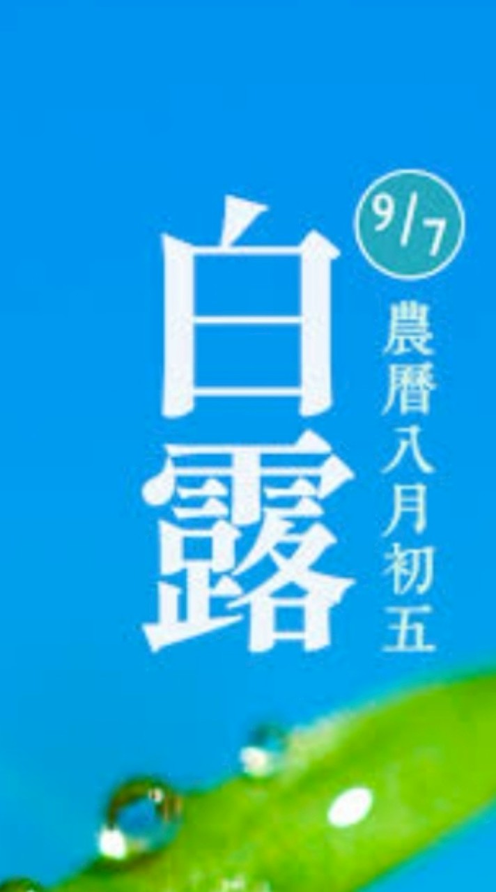 股票債券基金共同靜心群組