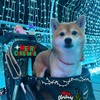 🌟𝕂台股資訊站📈