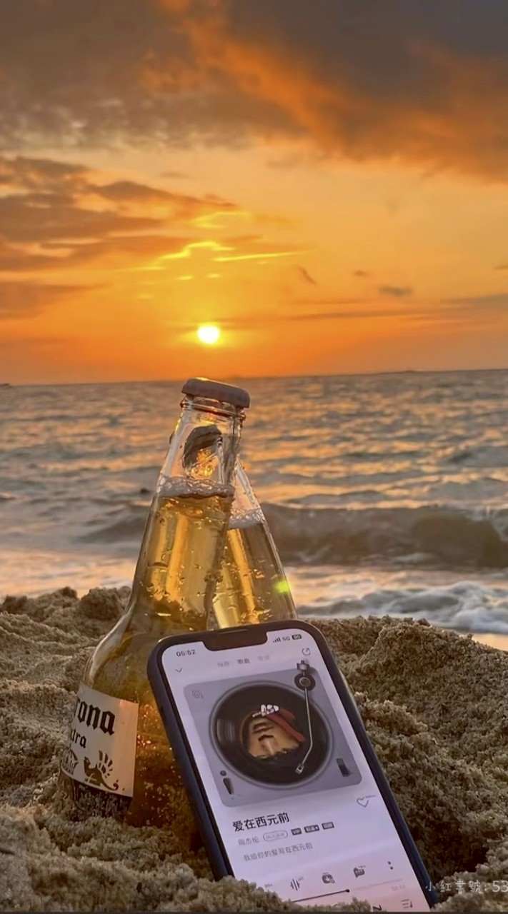 ⋆⁺₊ 𝐒𝐭𝐚𝐫𝐬𝐡𝐢𝐧𝐞 𝐄𝐧𝐭. ₊⁺⋆