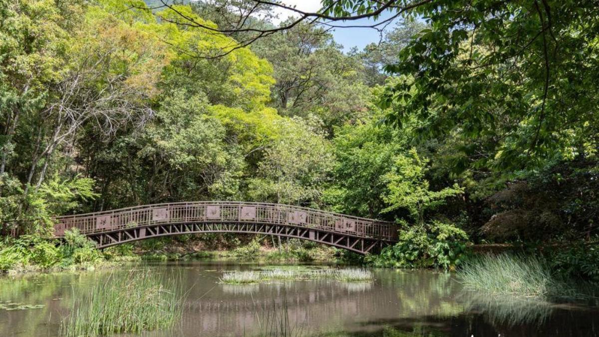 南投人不想說！仁愛鄉５私房景點：３分鐘攻頂瀑布祕境、全台最長天空步道