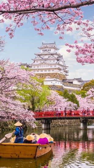 日本櫻花前線、紅葉前線技術分析