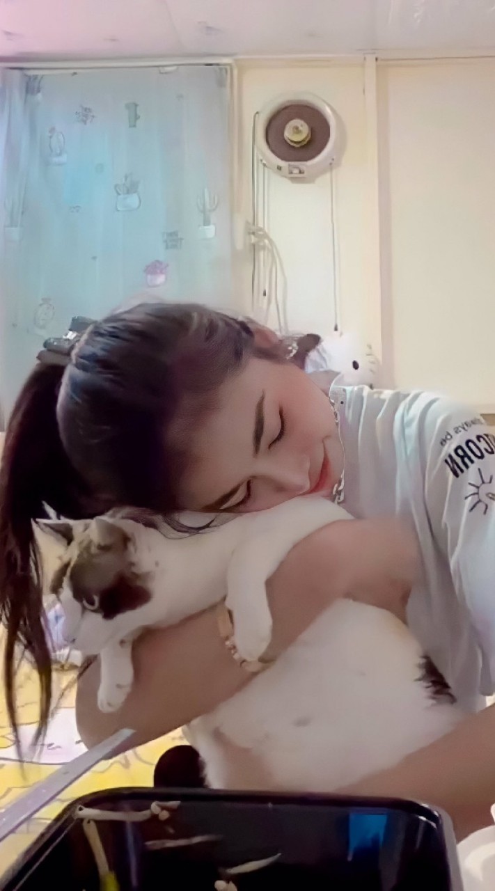 OpenChat ทานตะวันของอทิตา 🌻