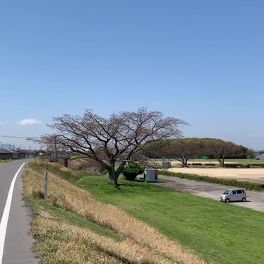 吉井川第一緑地のundefinedに実際訪問訪問したユーザーunknownさんが新しく投稿した新着口コミの写真