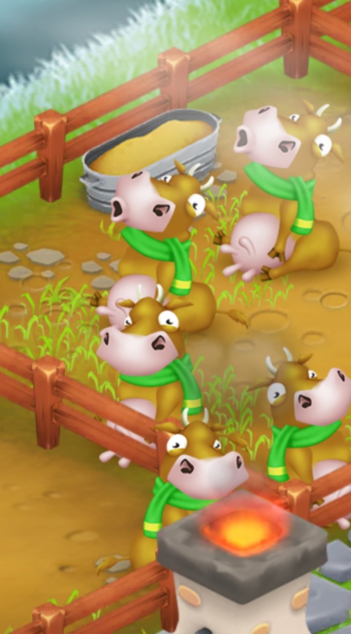 Hayday101