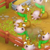 Hayday101