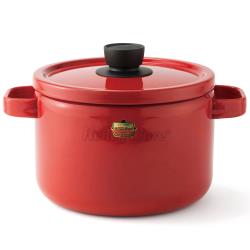 Honey ware 日本富士琺瑯 Solid系列-22cm雙耳琺瑯深鍋5.6L熱情紅