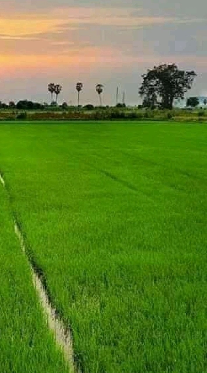 ห้องเมล็ดพันธุ์
