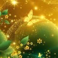 🍀「安解葉」🦋の部屋🐉