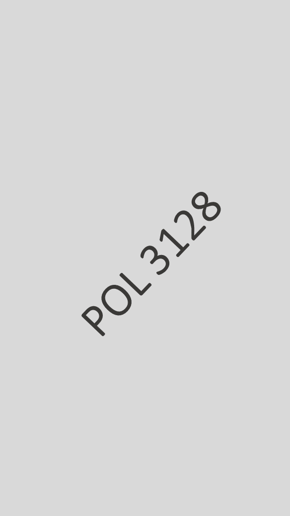 POL3128