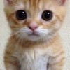 ! ❀ รับตัดคลิปมู้ด/ทำภาพชัดฟรี 𖤐 !