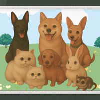八寶丸｜寵物烘培🐶🐱🐰🐹