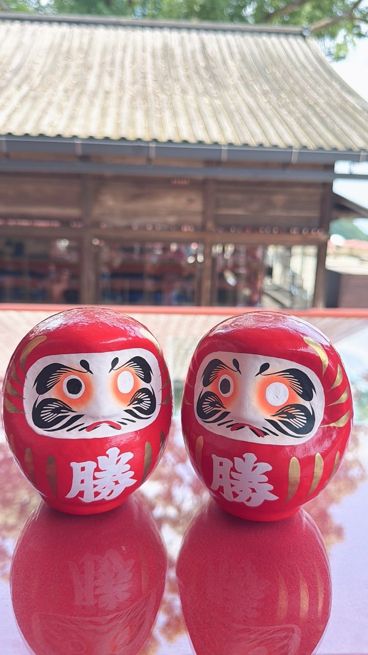 楓樹運動班影片區