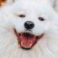 外匯EA / 年36% / 超穩3年 / 浮虧最高30%