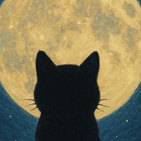 王者M-貓咪曬月亮🐈‍⬛