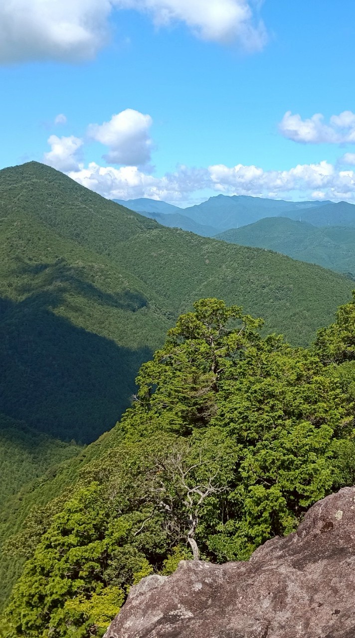 たなかなおこを応援し隊