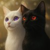 アンケート部屋・雑談&宣伝OK
