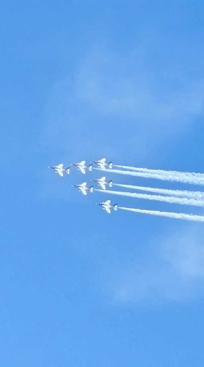 淳風　モルック