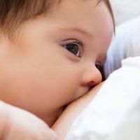 Nourish Mom นวดเปิดท่อน้ำนม