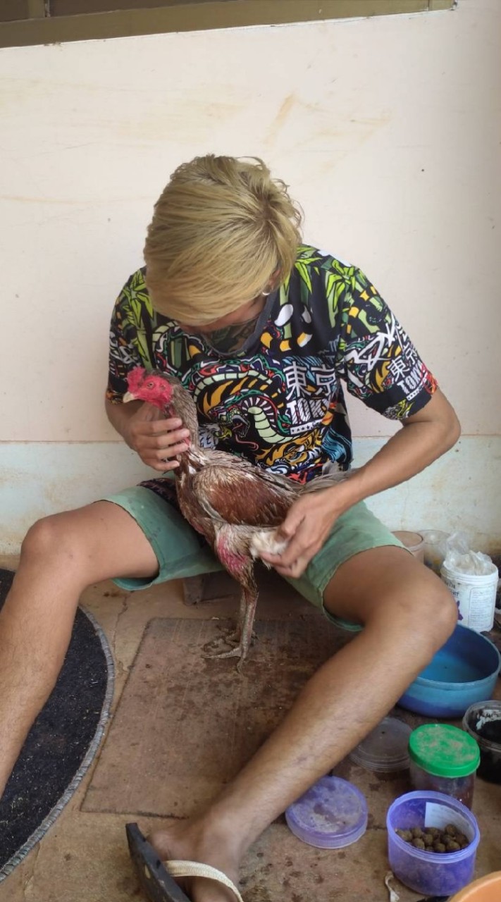 ซุ้ม​ สำราญ​ฟาร์ม​