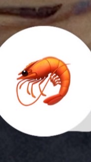 🦐避難所💥