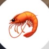 🦐避難所💥